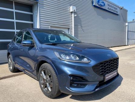 FORD Kuga 2.5 Duratec 190ch FHEV ST-Line BVA à vendre à Beaune - Image n°3