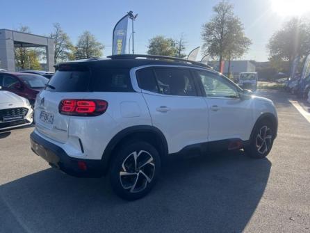 CITROEN C5 Aircross BlueHDi 130ch S&S Shine EAT8 à vendre à Dijon - Image n°5