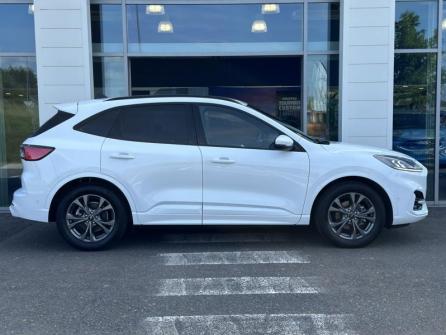 FORD Kuga 2.5 Duratec 190ch FHEV E85 ST-Line Business BVA à vendre à Gien - Image n°4