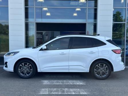 FORD Kuga 2.5 Duratec 190ch FHEV E85 ST-Line Business BVA à vendre à Gien - Image n°8