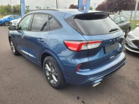 FORD Kuga 1.5 EcoBlue 120ch ST-Line X Powershift à vendre à Sens - Image n°4