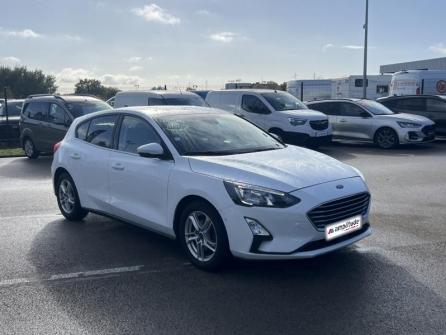 FORD Focus 1.5 EcoBlue 95ch Trend Business à vendre à Dijon - Image n°3